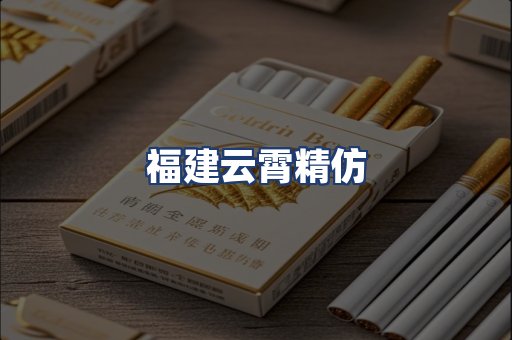 福建云霄精仿